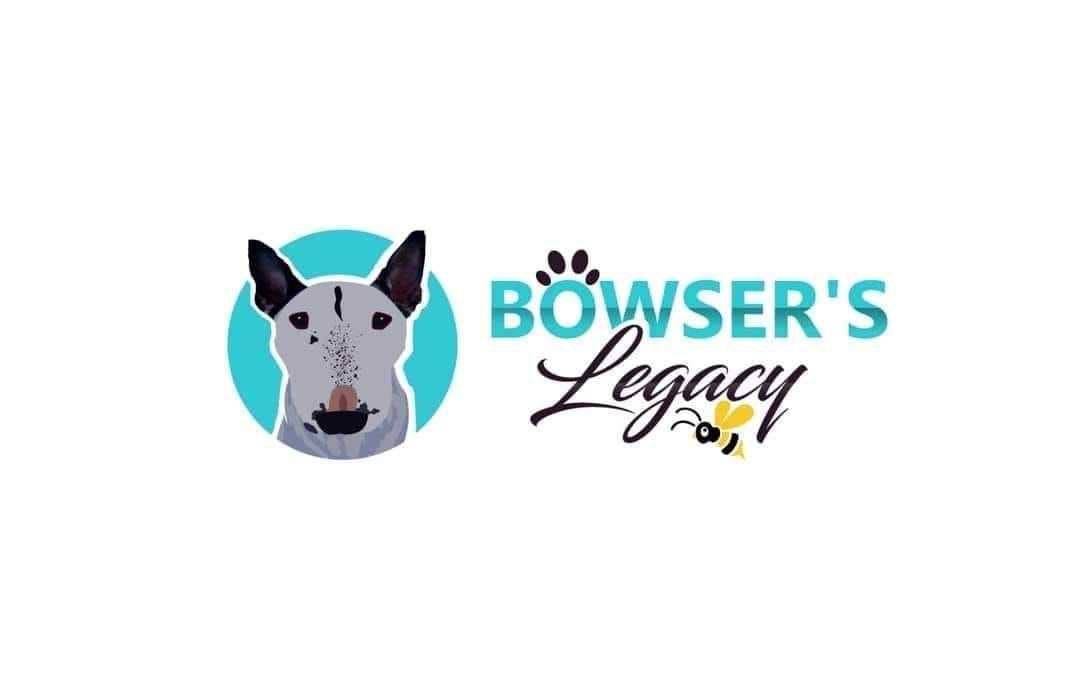 Bowser's Legacy Evening walk in Lincoln 