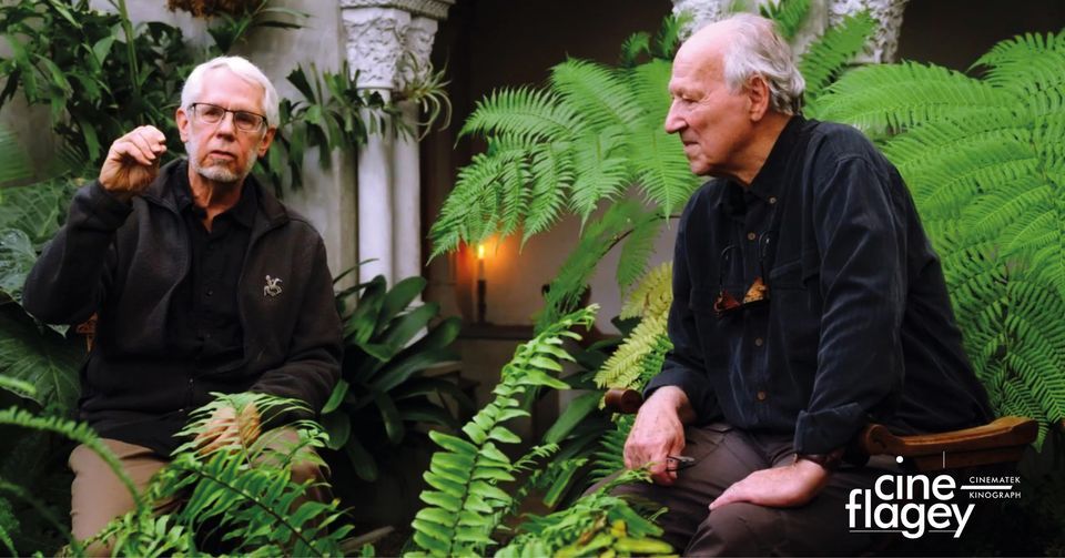 RAGING SUMMER \u2022 R\u00e9trospective Werner Herzog
