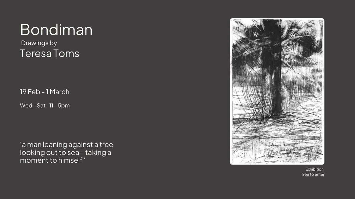 Teresa Toms Exhbition of Drawings: Bondiman