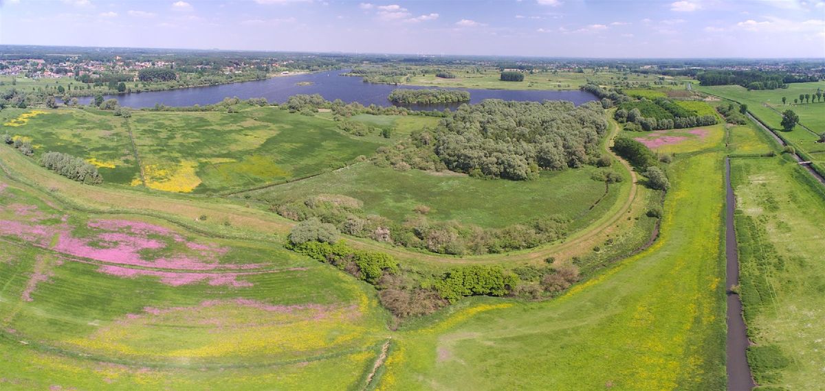 Diest to Schulen along GR5 with many natural reserves (22km )