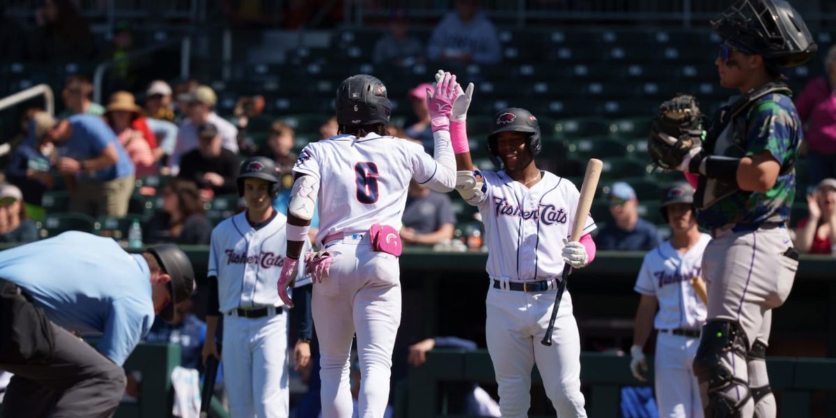 Parking Hartford Yard Goats at New Hampshire Fisher Cats