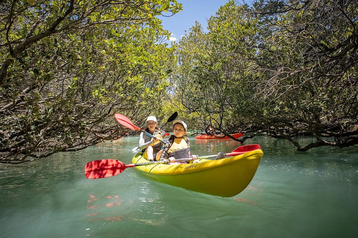 Little Bunyips Dolphin Kayaking (Full Day $120)