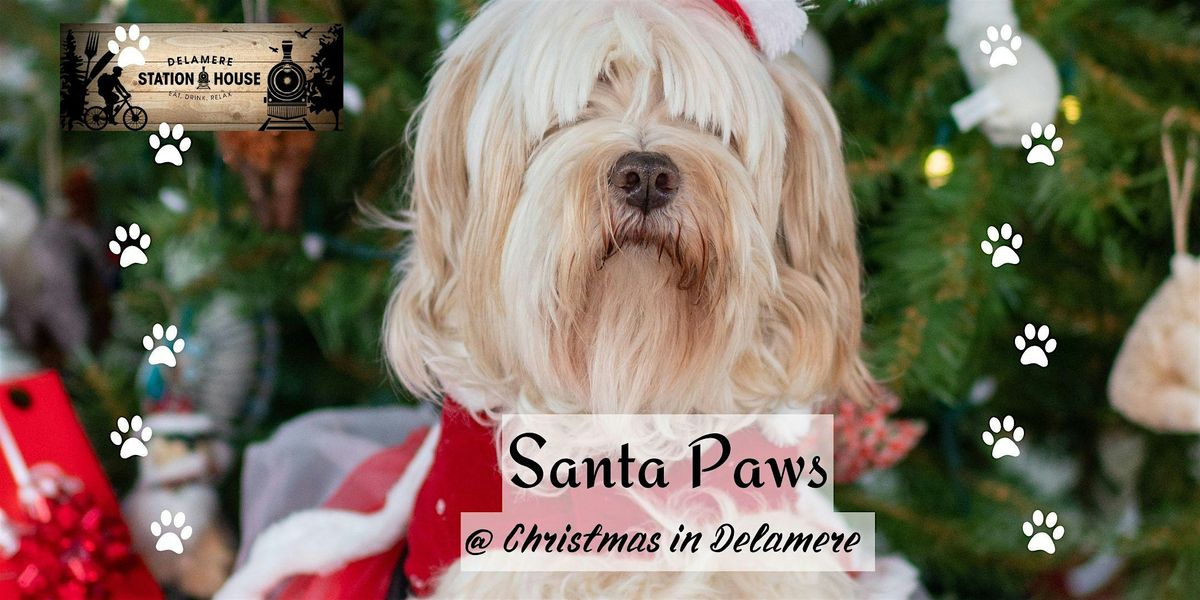 Santa Paws In Delamere Forest