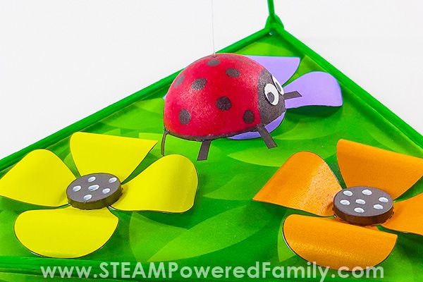 Magnetic Bugs for Kids STEM