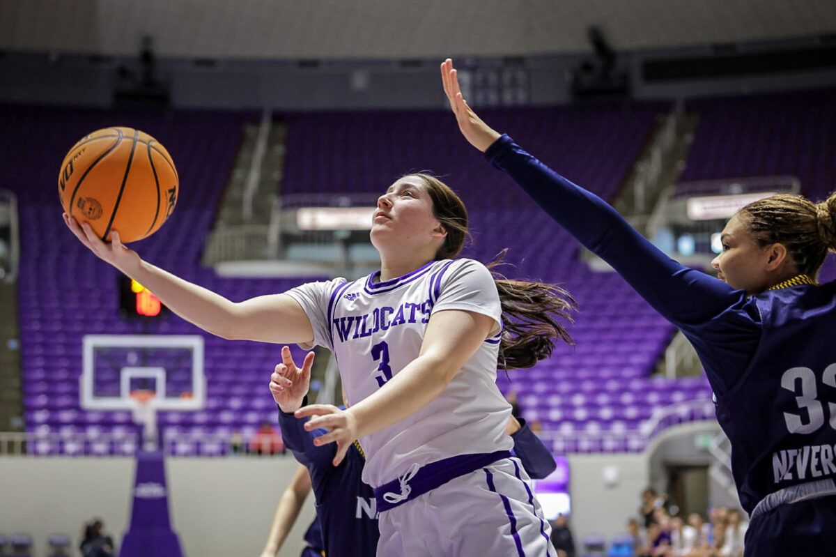 Northern Arizona Lumberjacks at Weber State Wildcats Mens Basketball at Dee Events Center