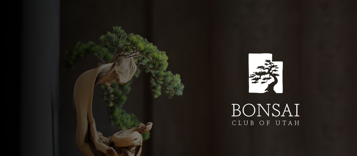 Fall Bonsai Show