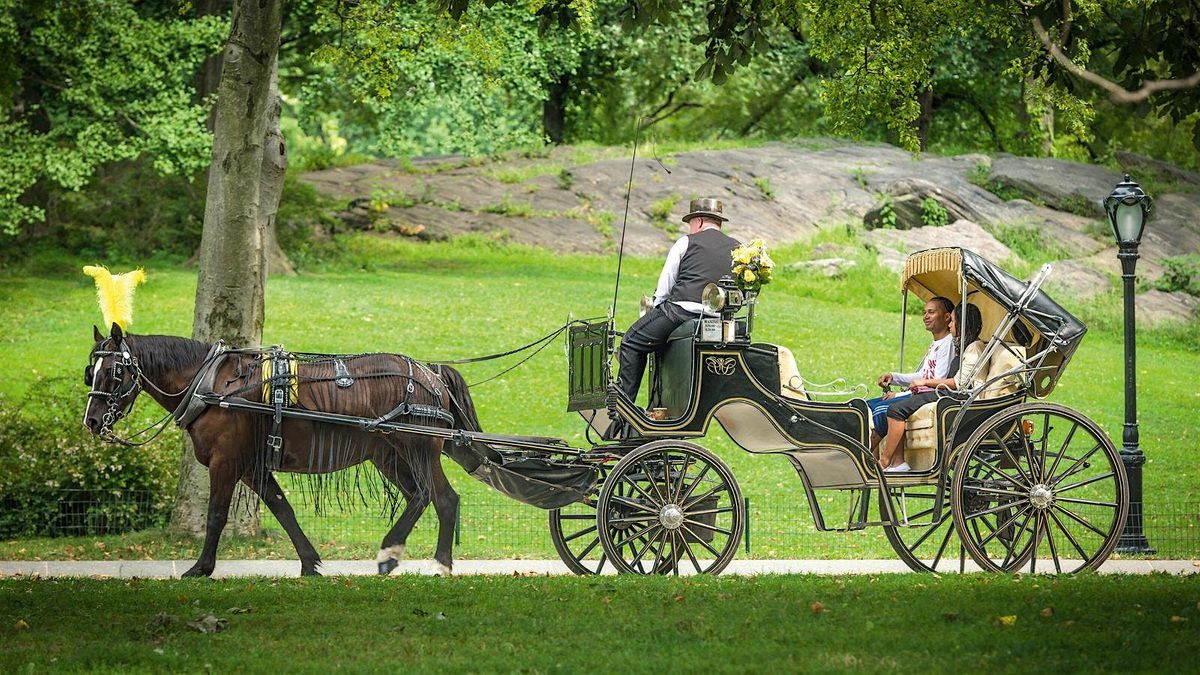 CENTRAL PARK HORSE CARRIAGE TOUR 2024 | NYC ELITE RIDES