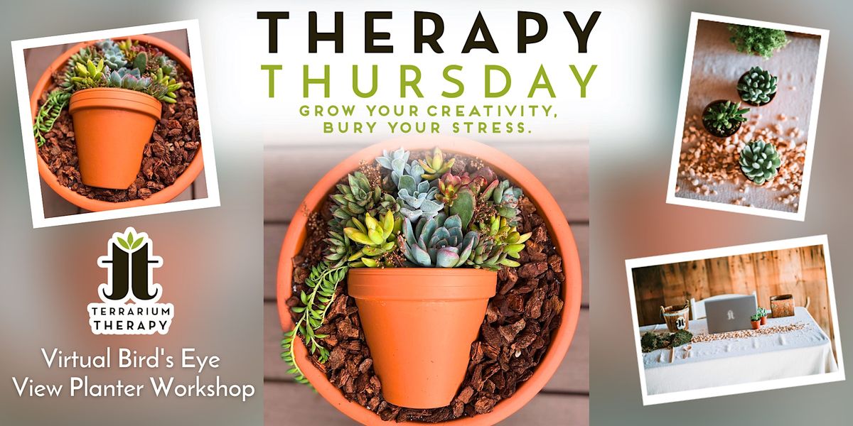 Virtual Therapy Thursday - Bird\u2019s Eye View Planter Workshop
