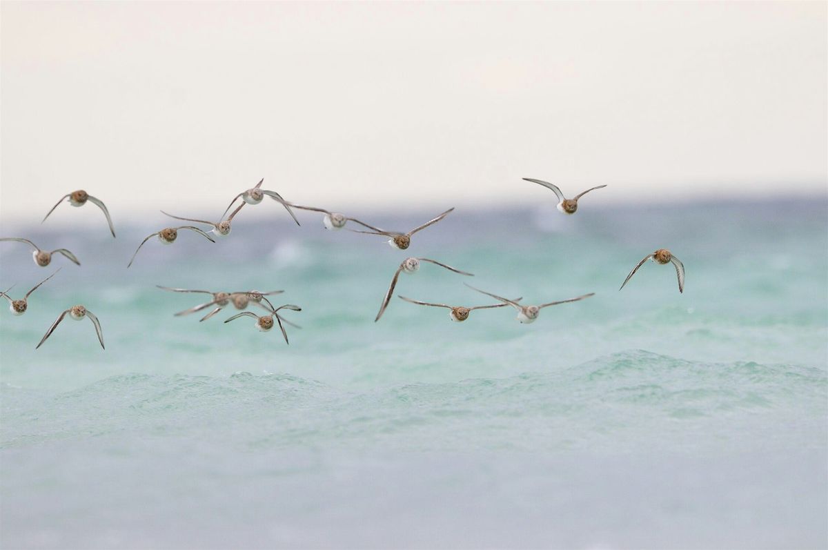 Scottish Wildlife Trust AGM and National Members Day 2024 - in person event