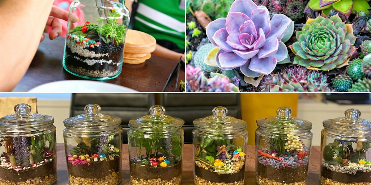 Closed Eco-System Terrarium Workshop - Art Class by Classpop!\u2122