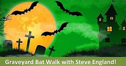 Another Graveyard Bat Walk with Steve England!