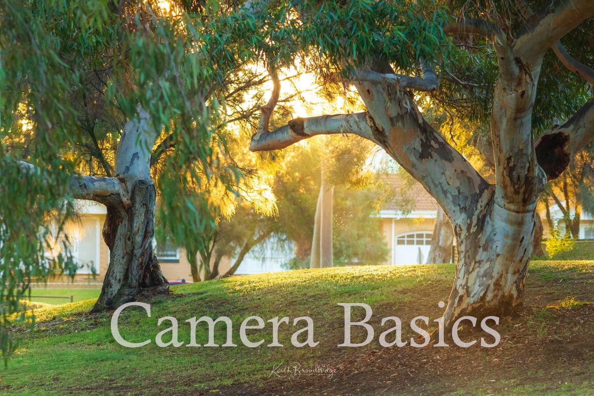 Photography Workshop - Camera Basics