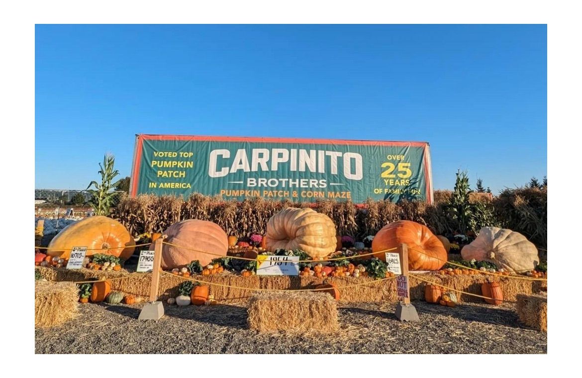 Carpinito Farms Field Trip 