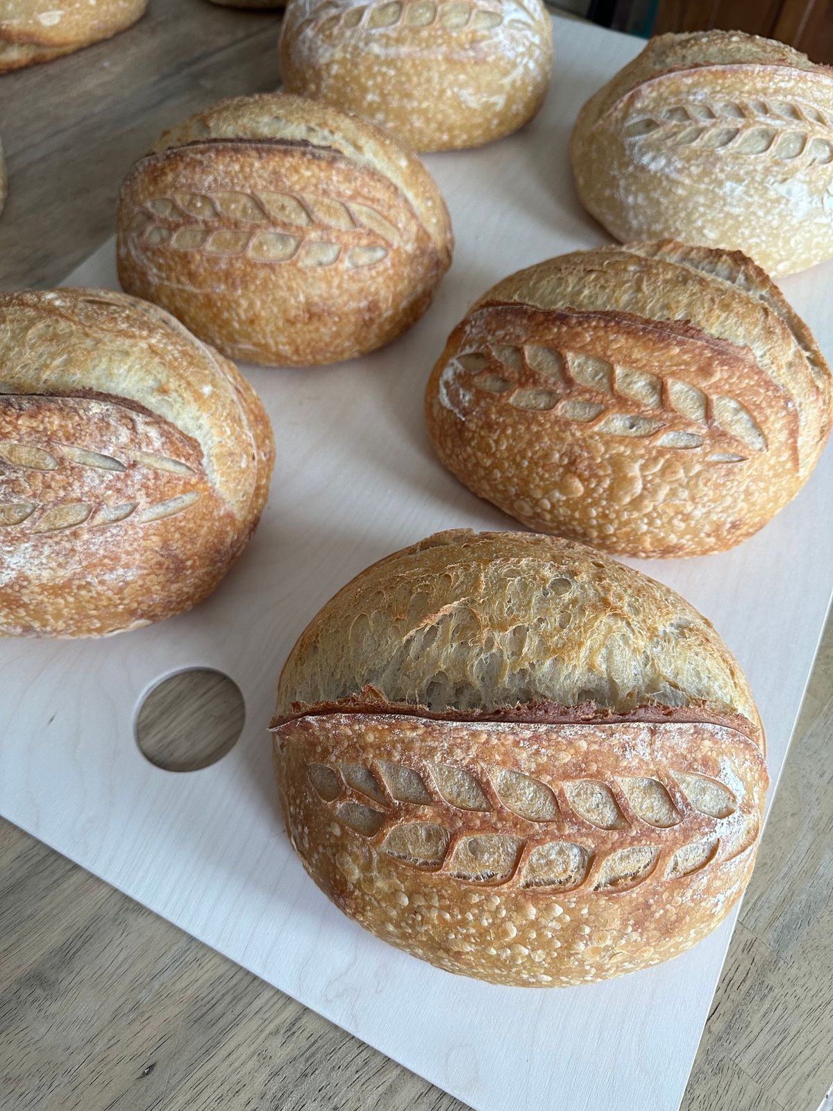 Sourdough 101 Workshop