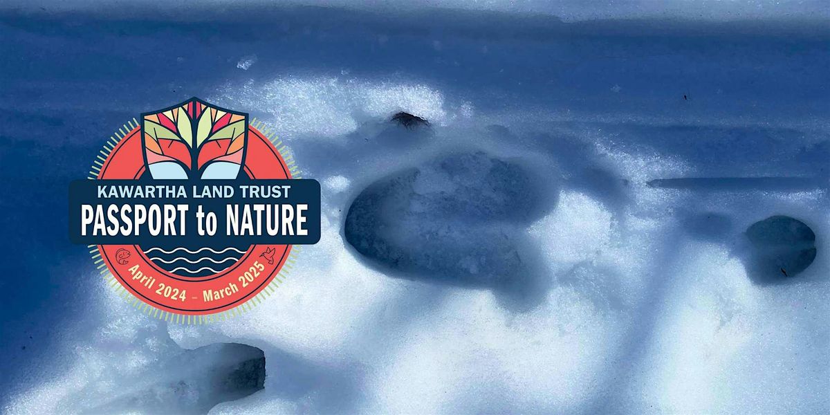 KLT's Passport to Nature: How to Be a Winter Wildlife Detective