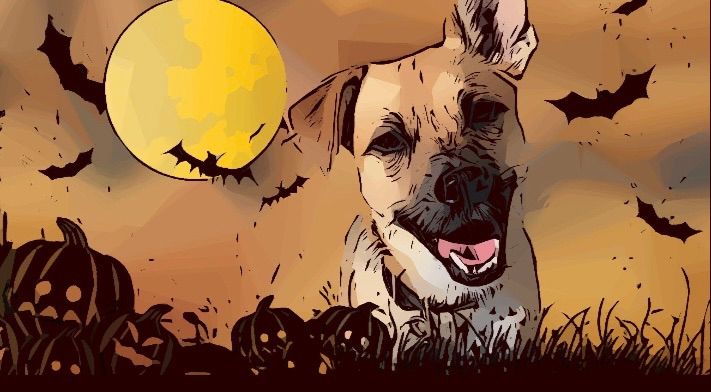 Howl-O-Ween at Peters Park