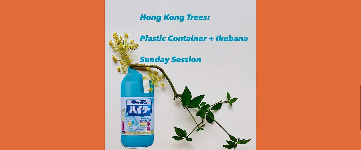 Hong Kong Trees: Plastic Container + Ikebana Sunday Session