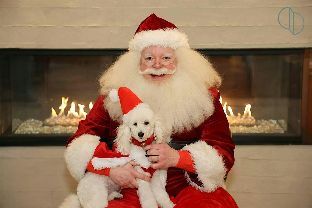 Picture Your Pet with Santa at The Colonnade Hotel