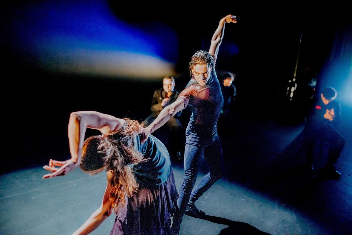 White Bird Presents: Noche Flamenca