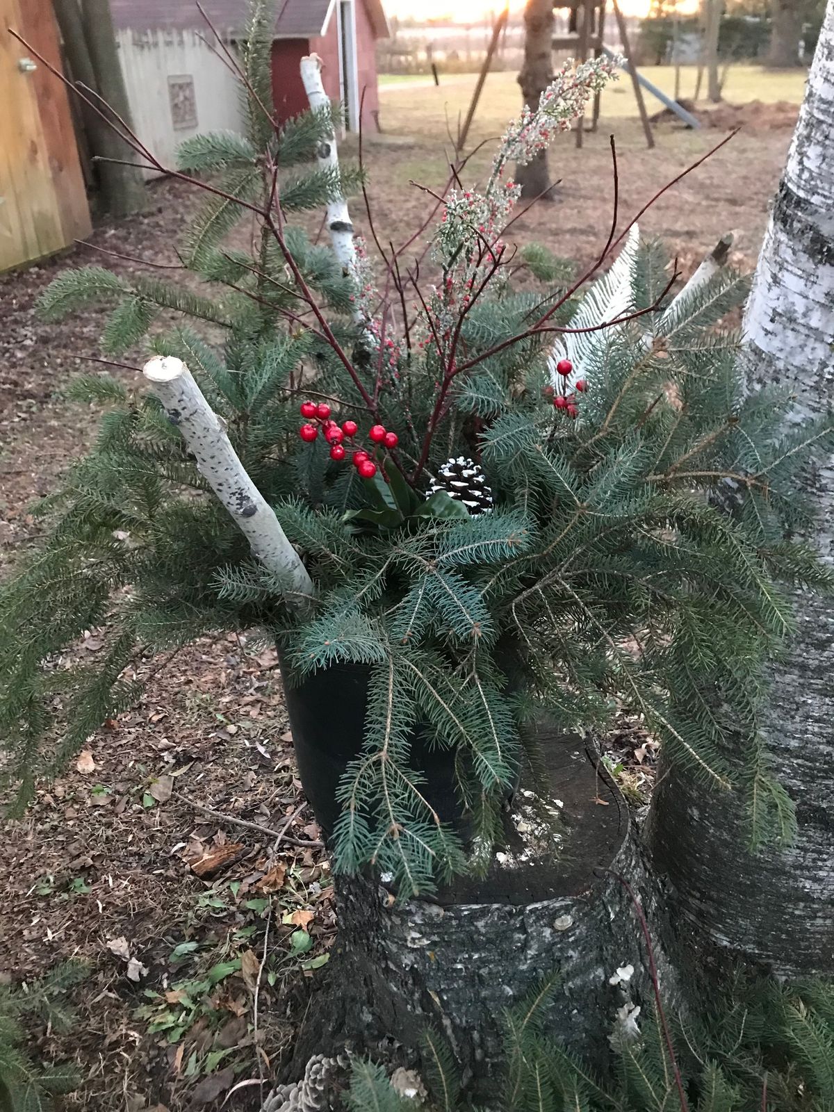 DIY Christmas Porch Pot\/Arrangement Workshop