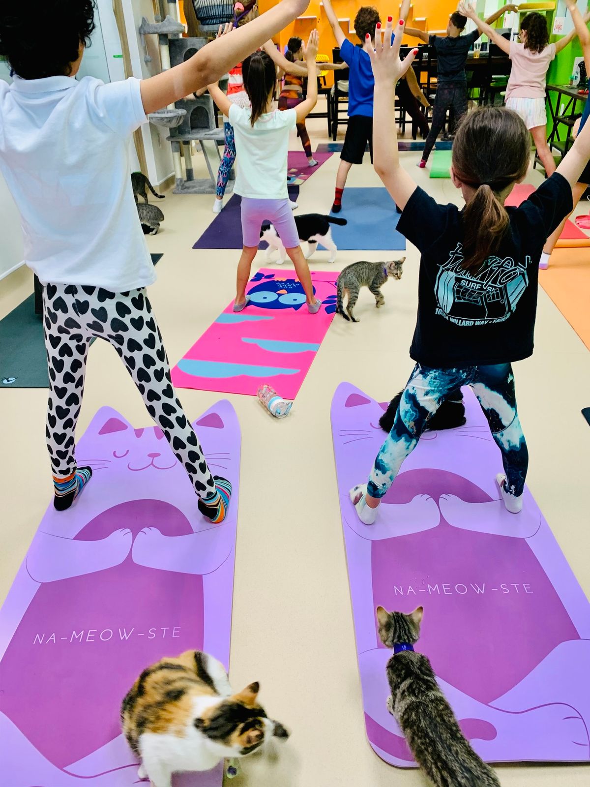 Cat Yoga for Kids (Ages 9-18) \ud83e\uddd8\u200d\u2640\ufe0f\ud83d\udc31