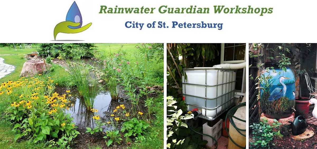 Rainwater Guardian Webinar