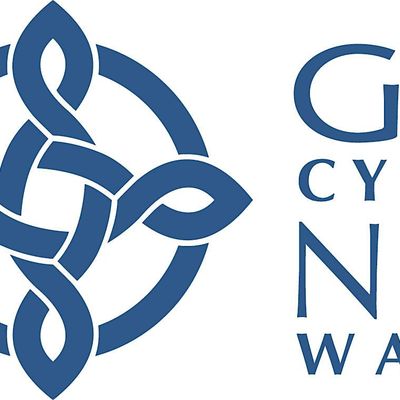 Cwm Taf Morgannwg Local Public Health Team