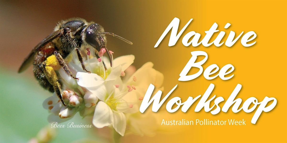 Native Bee Seminar and Workshop