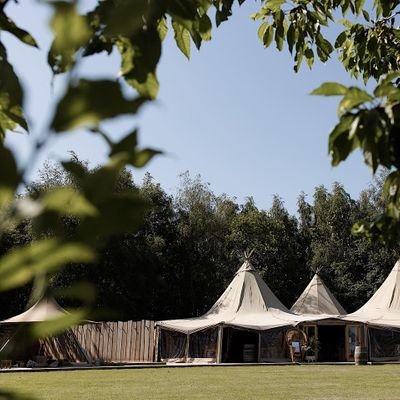 Bowland Tipis