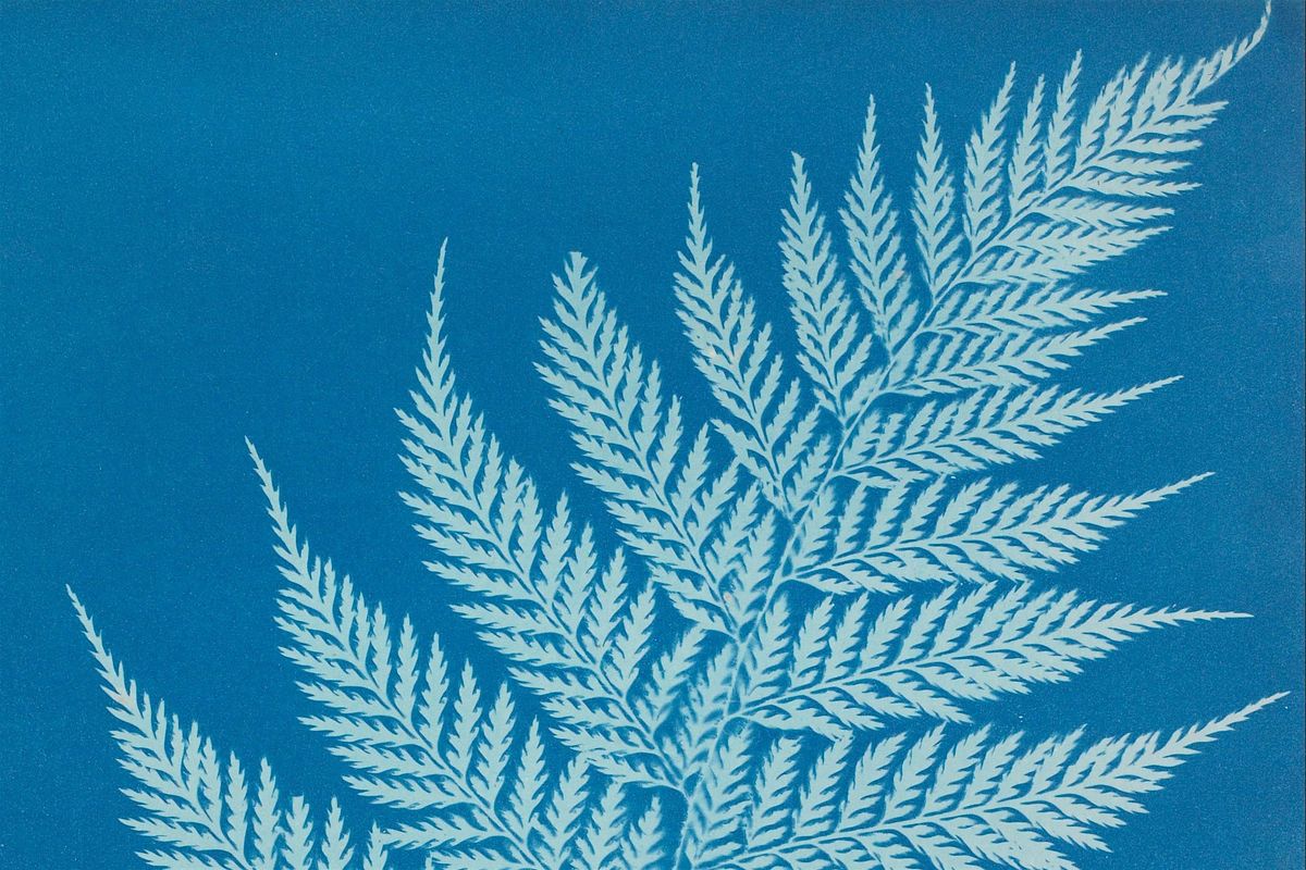 Cyanotype workshop