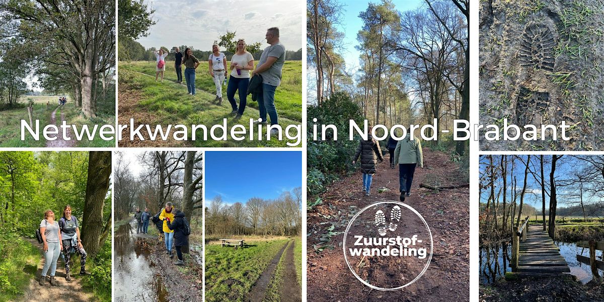 Netwerkwandeling voor zzp'ers in Noord-Brabant