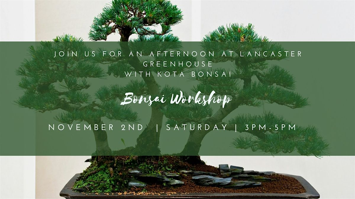 Bonsai Workshop