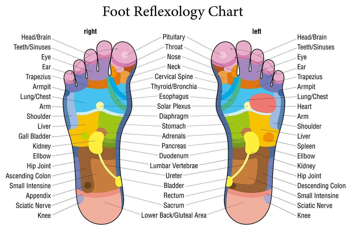 Introduction to the Ancient Art known as Reflexology