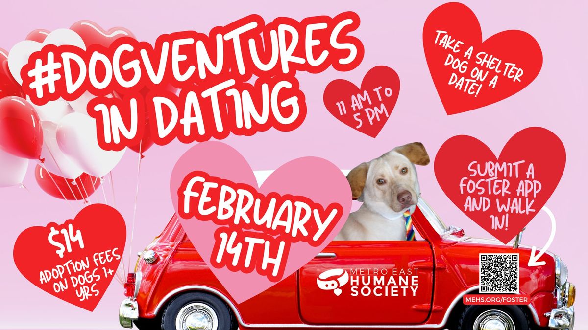 Spend Valentine's Day with a Shelter Dog!