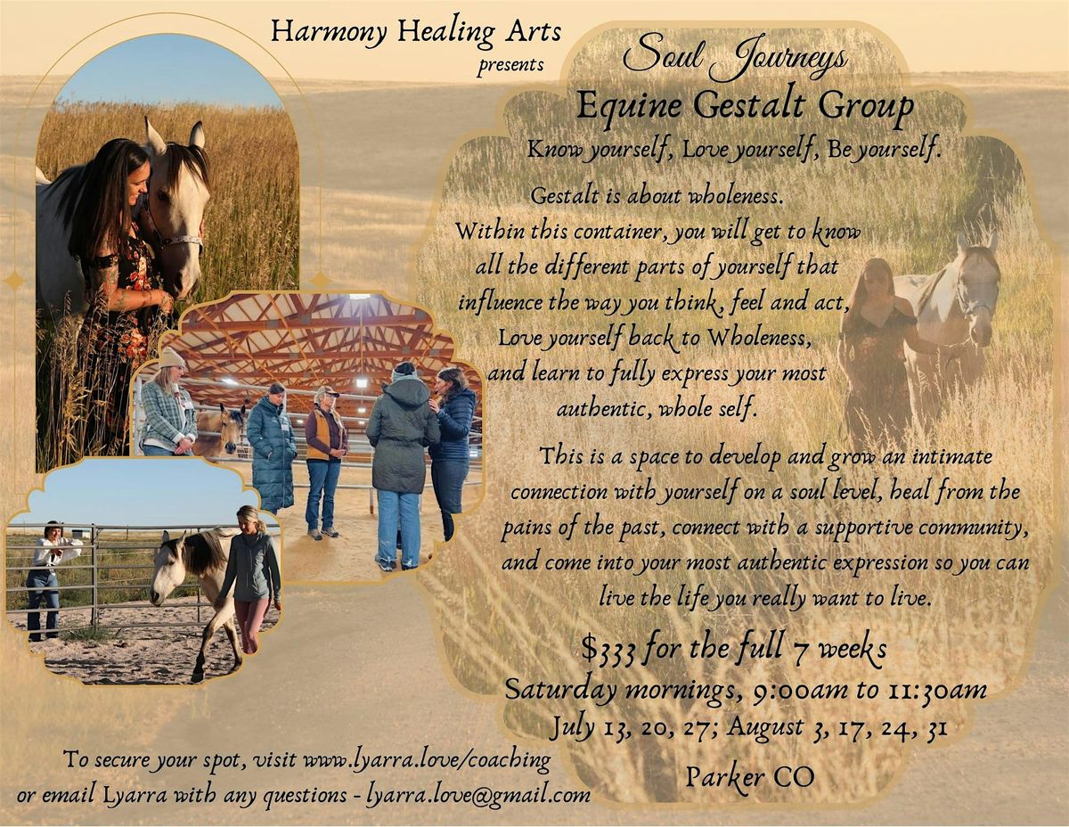 Soul Journeys Equine Gestalt Group