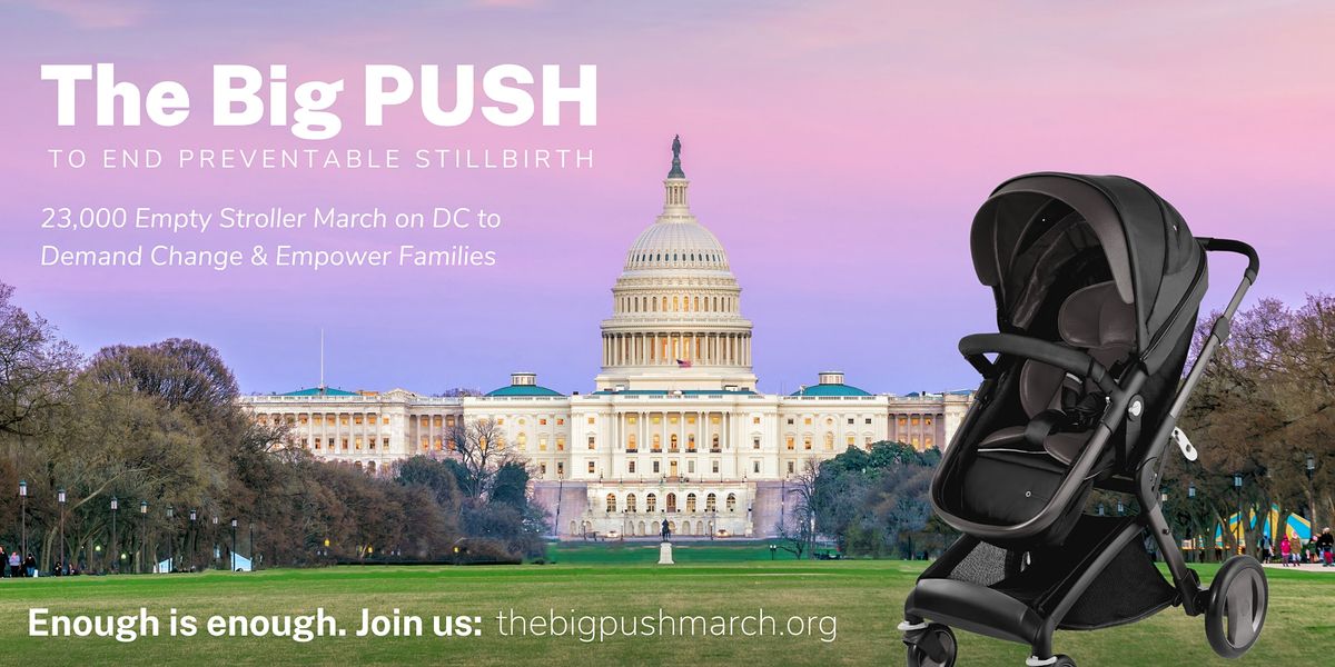 The Big PUSH to End Preventable Stillbirth - Empty Stroller March on DC