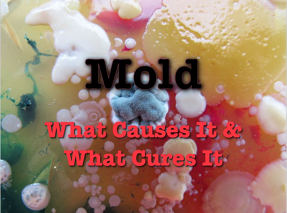 Mold, What Causes and Cures it  -  FREE 1 Hour Credit Cont. Education(NREC)