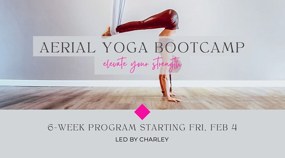 Aerial Yoga Bootcamp: Elevate Your Strength
