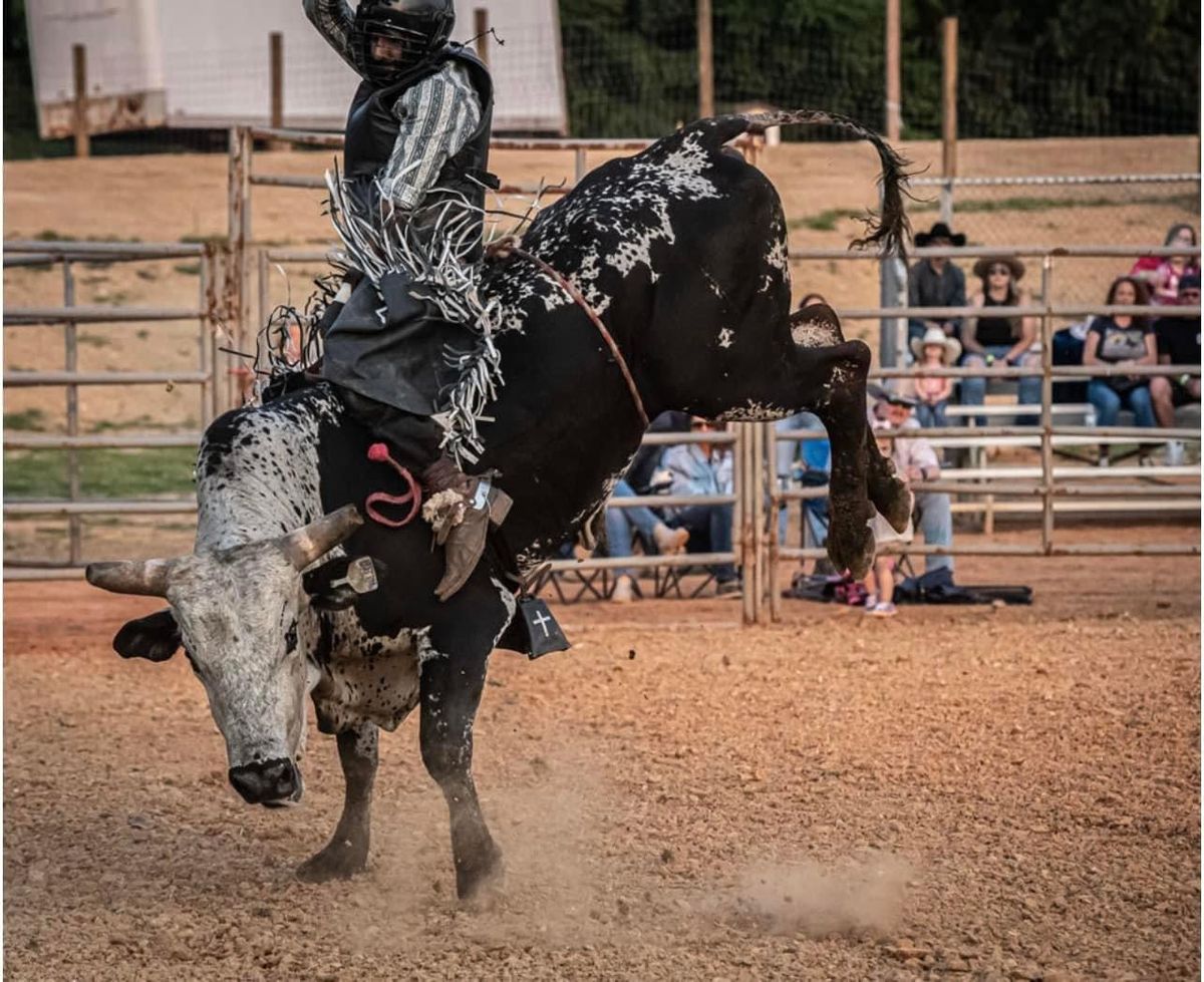 Bull Riding 