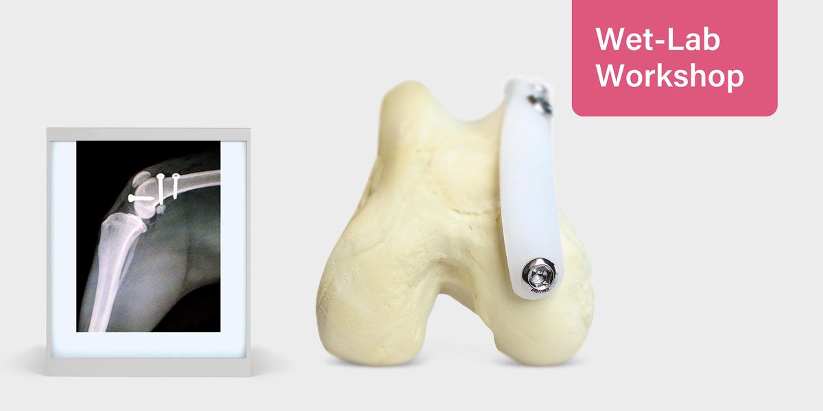 Stifle Disease: Patellar Luxation with RidgeStop | Wet-Lab, Viticus ...