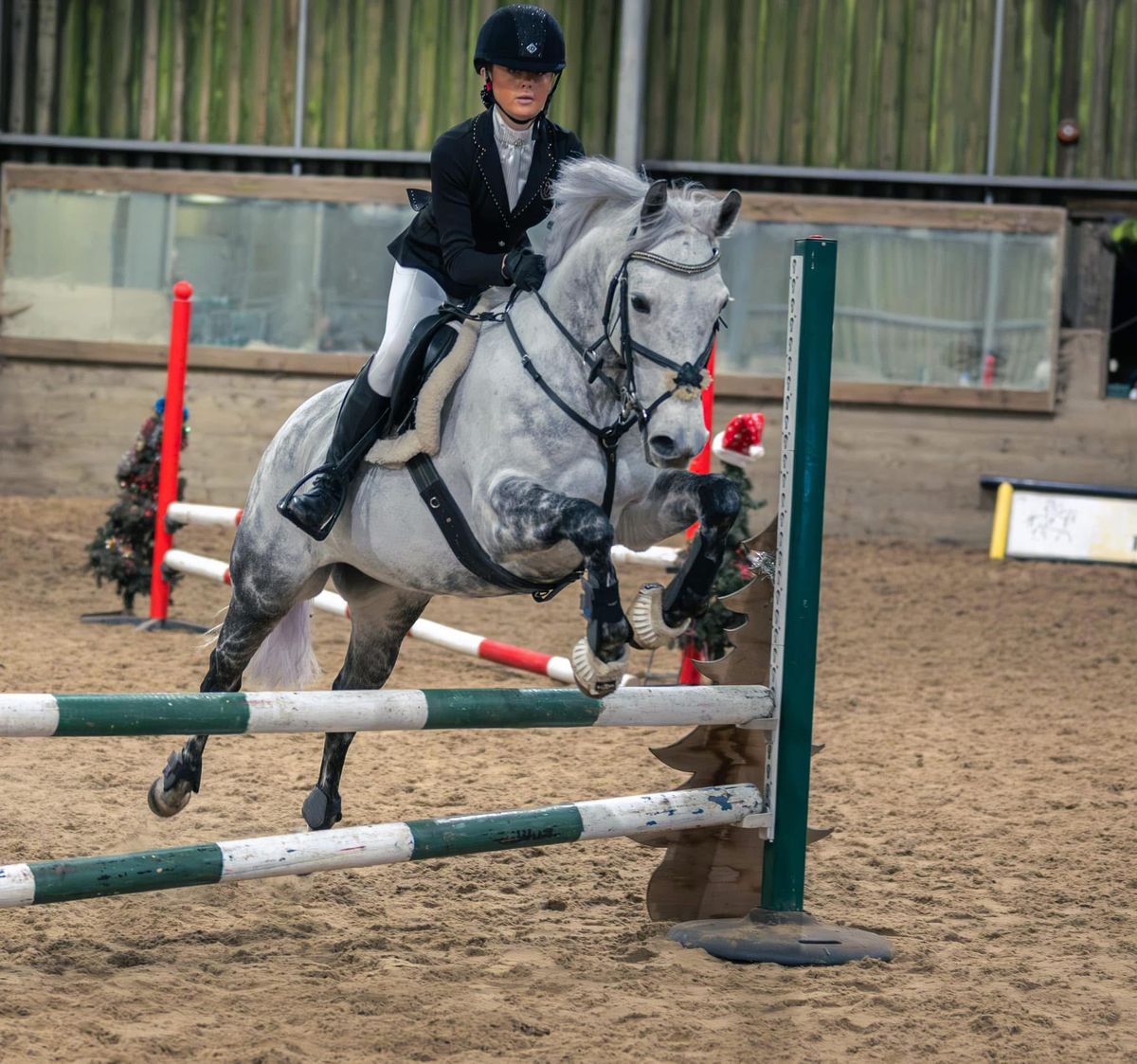 Newquay Riding Club Valentines Showjumping