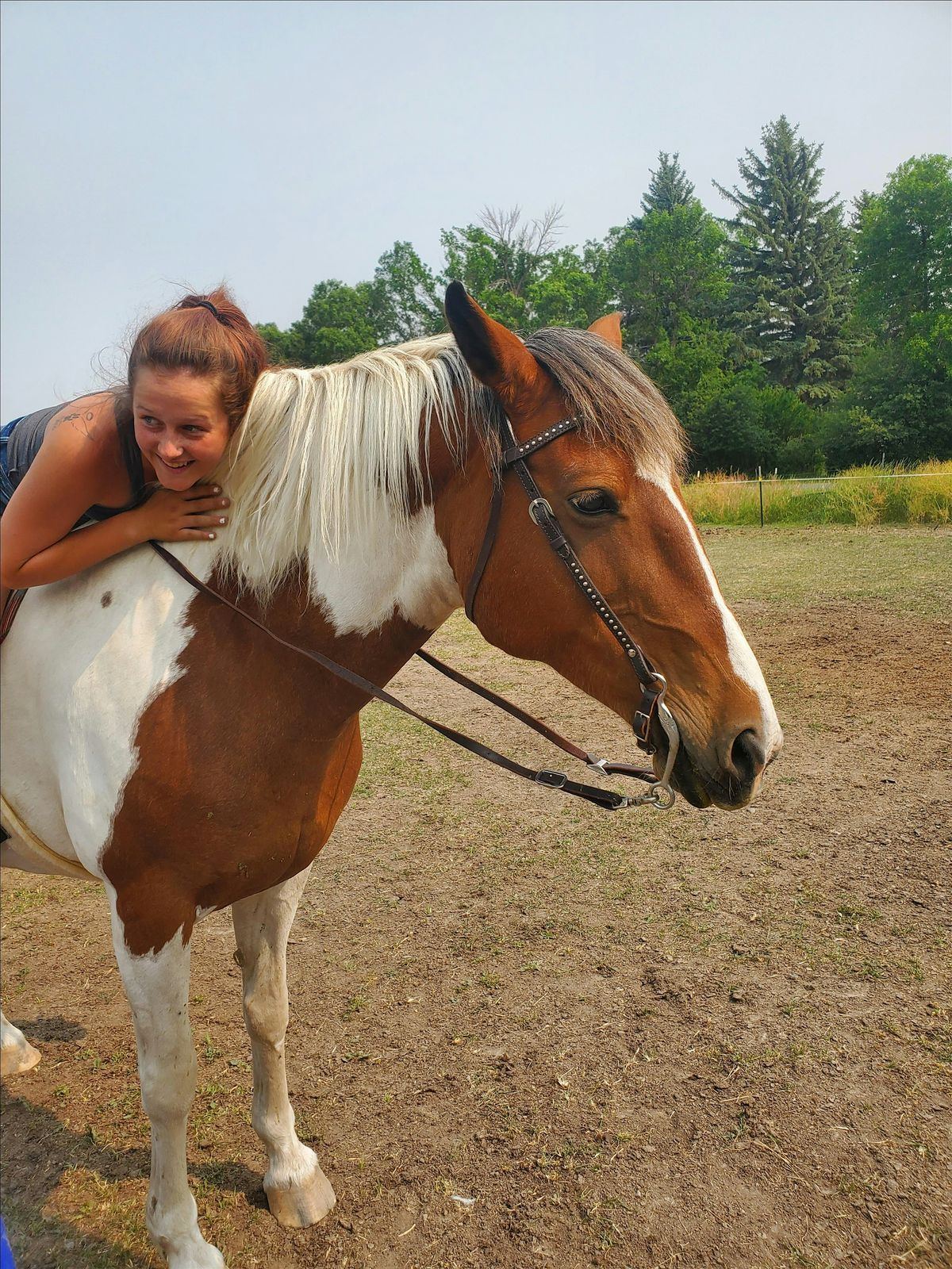 Equine clicker training clinic with Shawna Corrin Karrasch