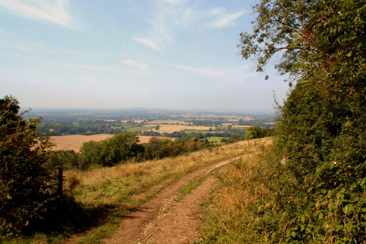 Trek\/Fit LGBTQIA and Allied Hikes: The Chiltern Ridgeline