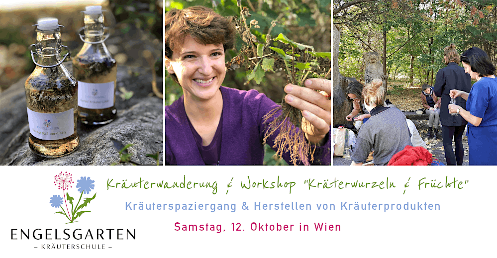 Kr\u00e4uterwanderung mit Workshop in Wien "Kr\u00e4uterwurzeln & Fr\u00fcchte"