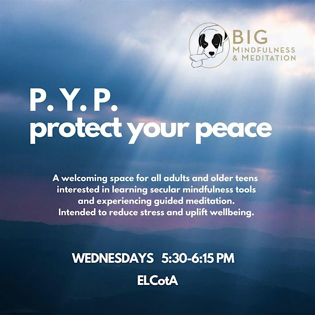 P.Y.P. Protect Your Peace