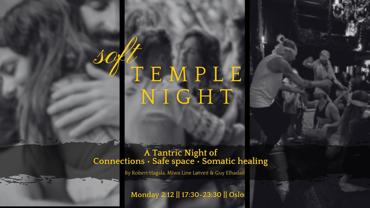 SoftTemple Night: A Tantric Night of Connection, Safe Space & Somatic Healing