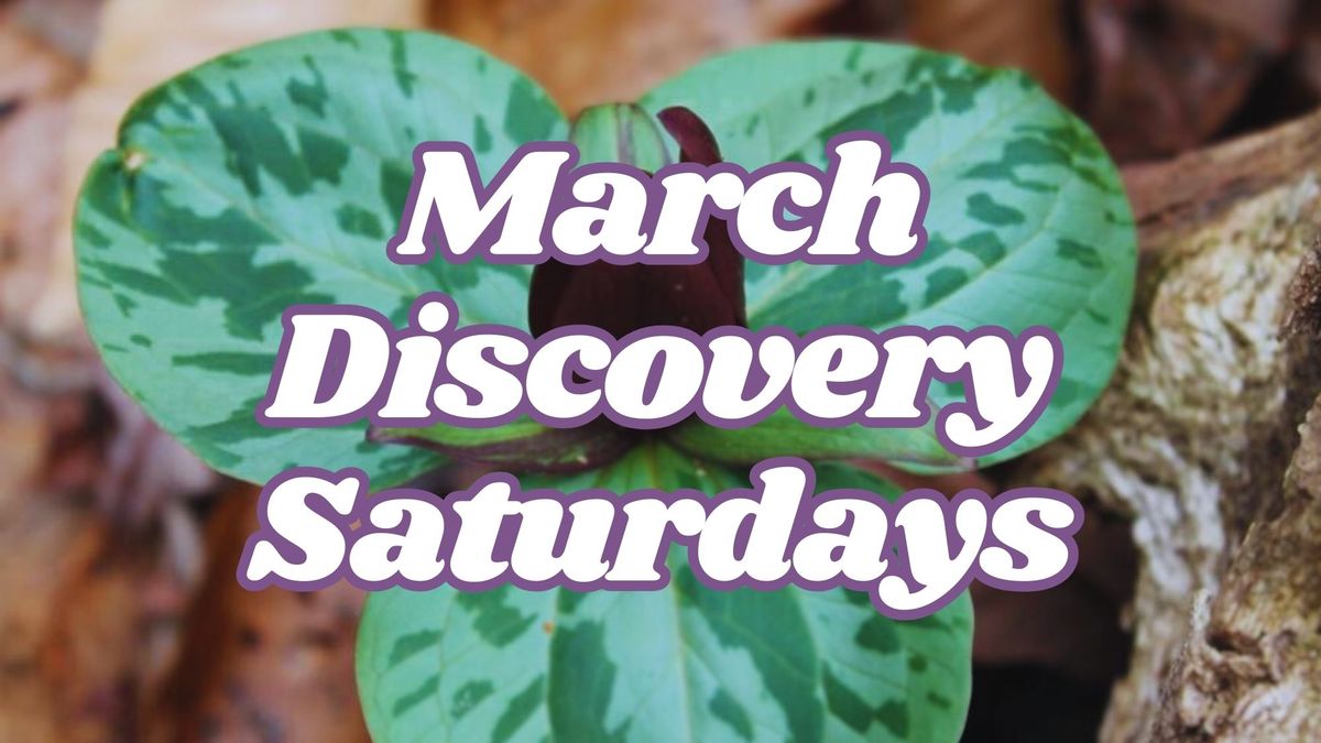 March Discovery Saturdays