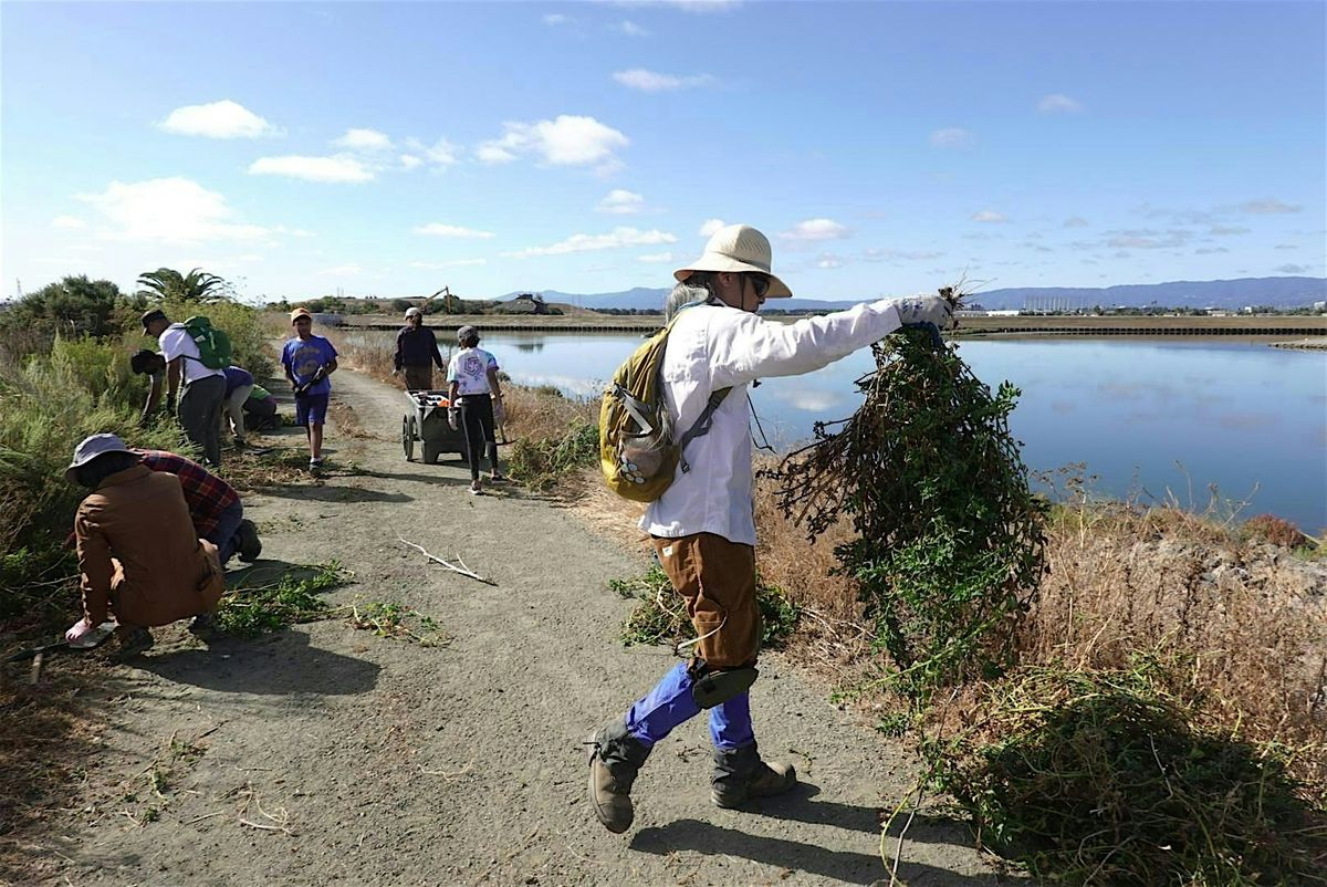 Weeding for Wildlife