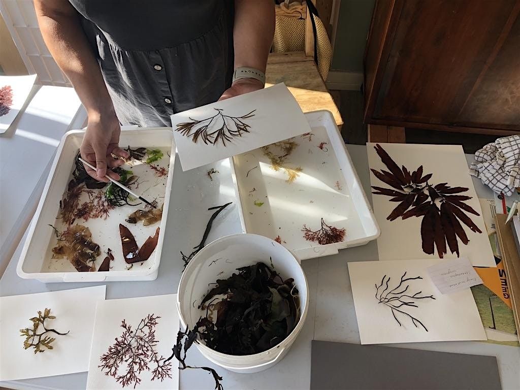 Seaweed Pressing Workshop