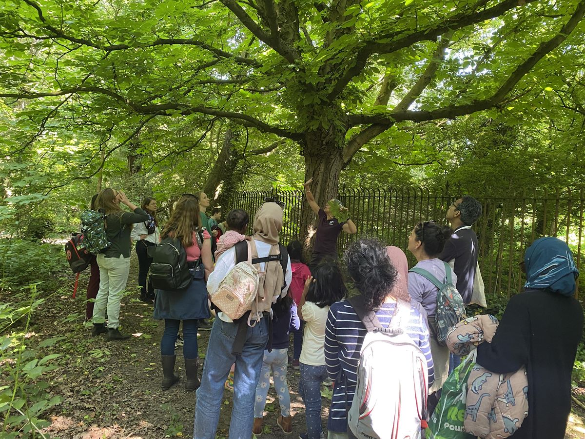 Lets Go Wild at Welsh Harp - Tree ID, Plant Art, Clay Faces!, Welsh ...